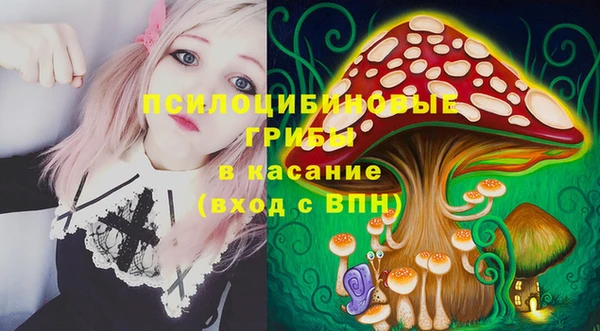 мдпв Кулебаки