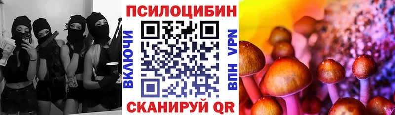 Псилоцибиновые грибы Cubensis кракен рабочий сайт Сертолово