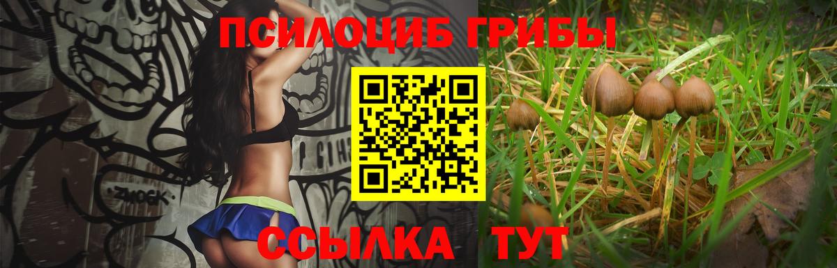 Псилоцибиновые грибы MAGIC MUSHROOMS  купить закладку  Сертолово  Вход с VPN 