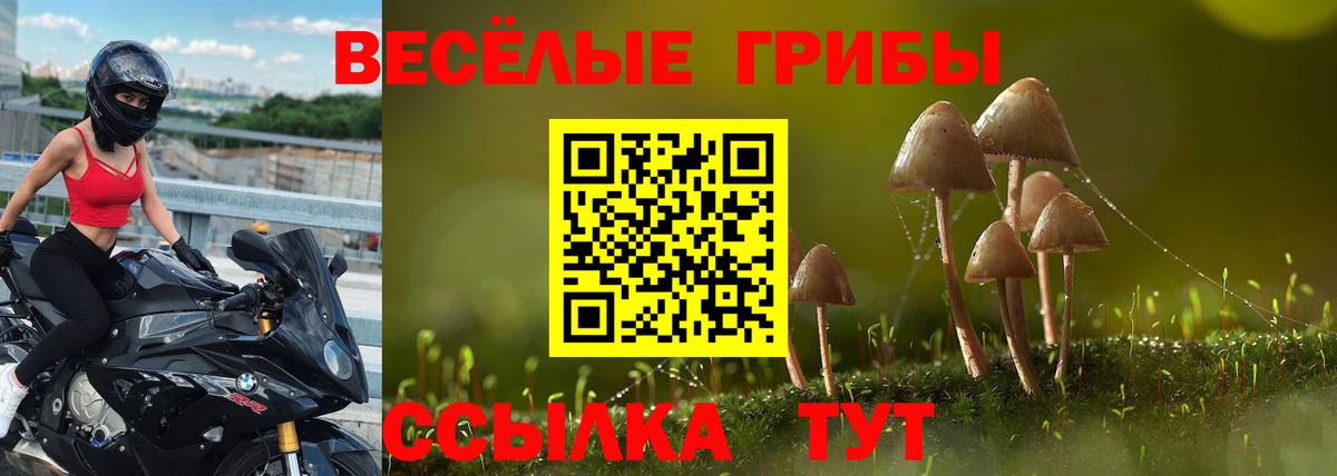 Псилоцибиновые грибы прущие грибы Сертолово